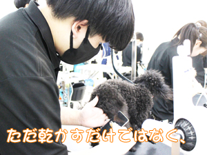 １年生、カットもがんばっています！